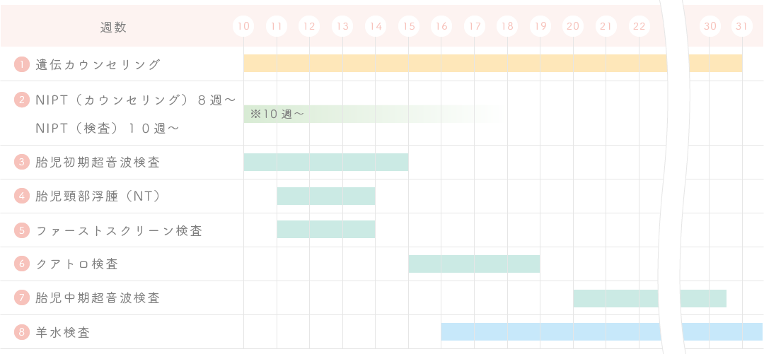 出生前検査のスケジュール